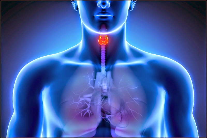 Endokrinologiya və Andrologiya
